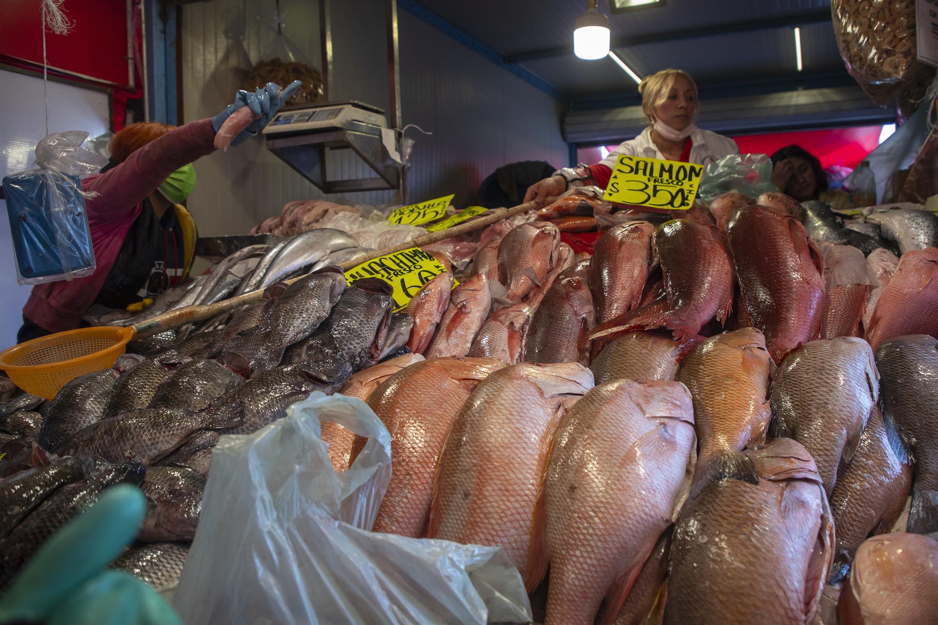 Vendedores de pescado ofrecen sus productos el 12 de abril de 2022, en el mercado de pescados y mariscos La Viga, en Ciudad de México (México). EFE/ Isaac Esquivel
