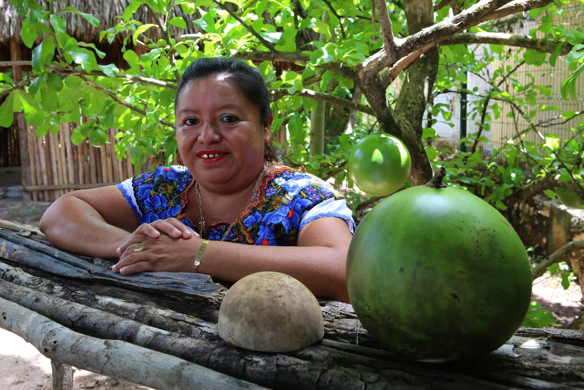 Rosalía Chay, la guardiana de comidas ancestrales del pueblo maya La chef indígena Rosalía Chay posa para durante una entrevista con Efe, el 27 de agosto de 2022 en Yaxunah (México). EFE/ Lourdes Cruz