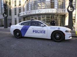 Fotografía de archivo de un coche de la Policía Federal. EFE/ Kena Betancur
