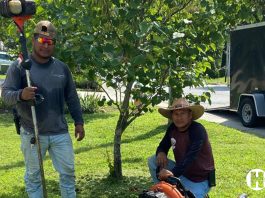 En el verano | Calor y belleza detrás del jardinero