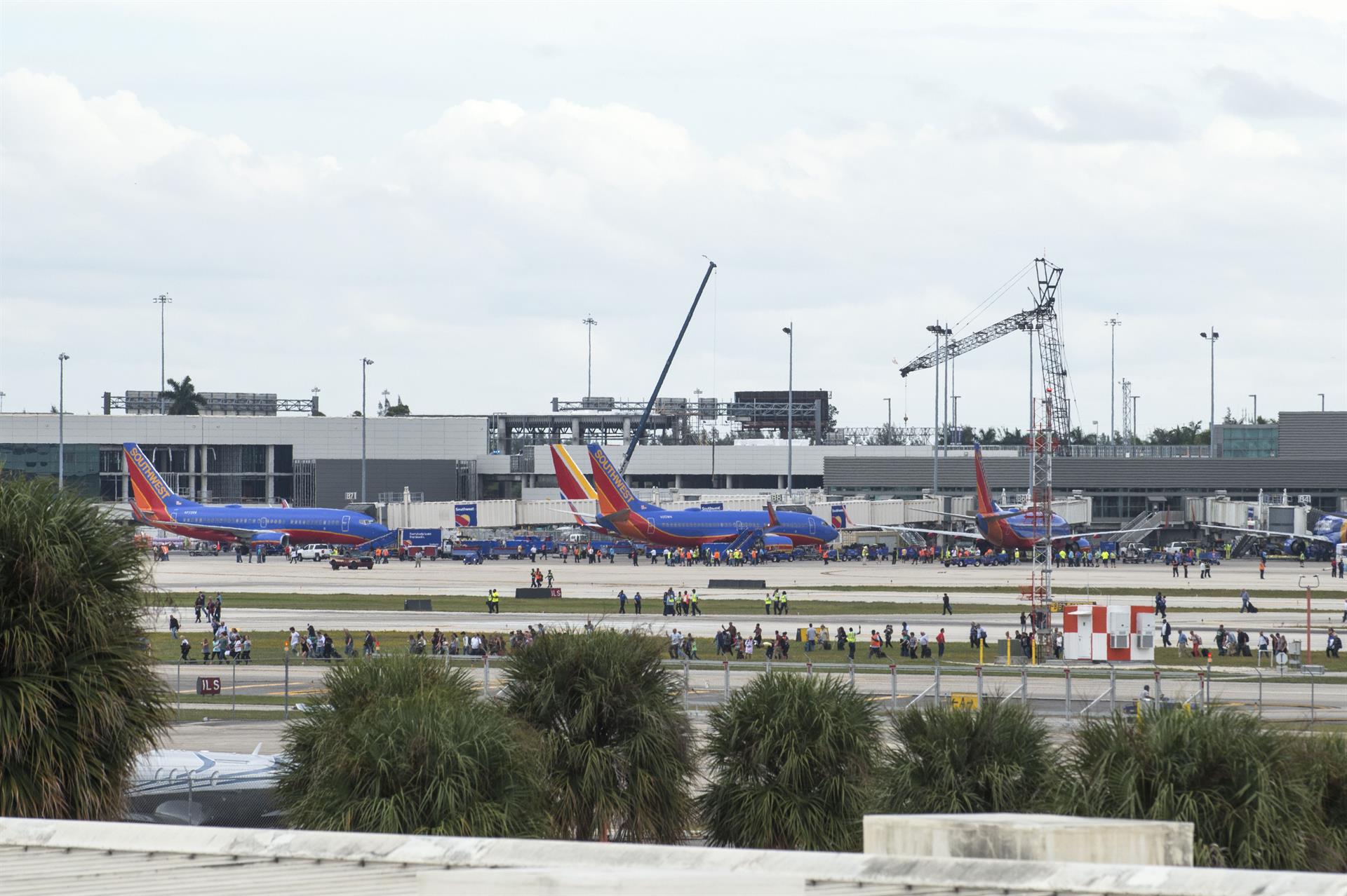 Cientos de personas se encuentran en la pista de aterrizaje del aeropuerto de Fort Lauderdale, Florida, después de un operativo para arrestar a una mujer. Imagen de archivo. EFE/GIORGIO VIERA.
