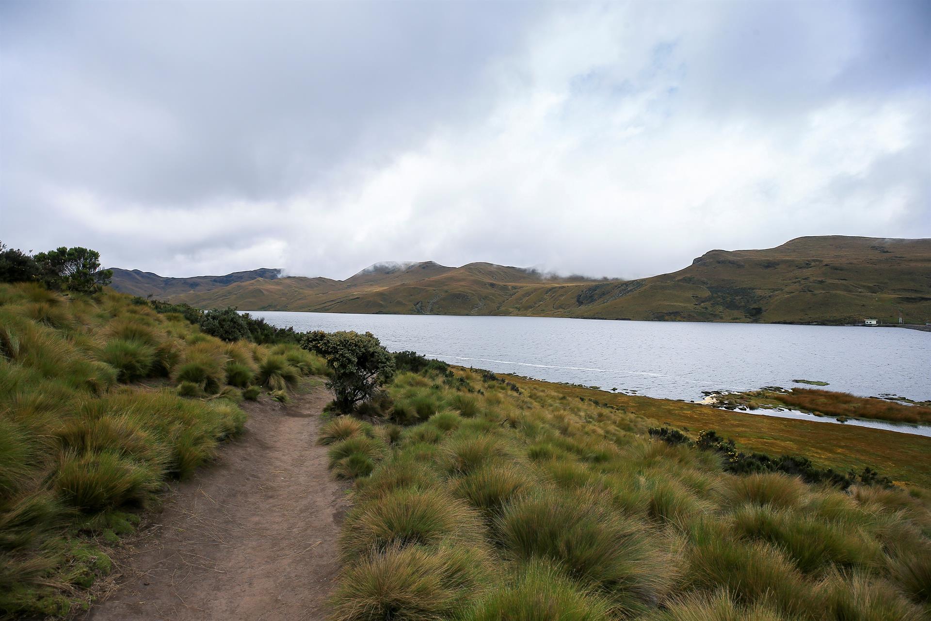 Fotografía de archivo de la Laguna La Mica en la reserva Antisana (Ecuador). EFE/ José Jácome

