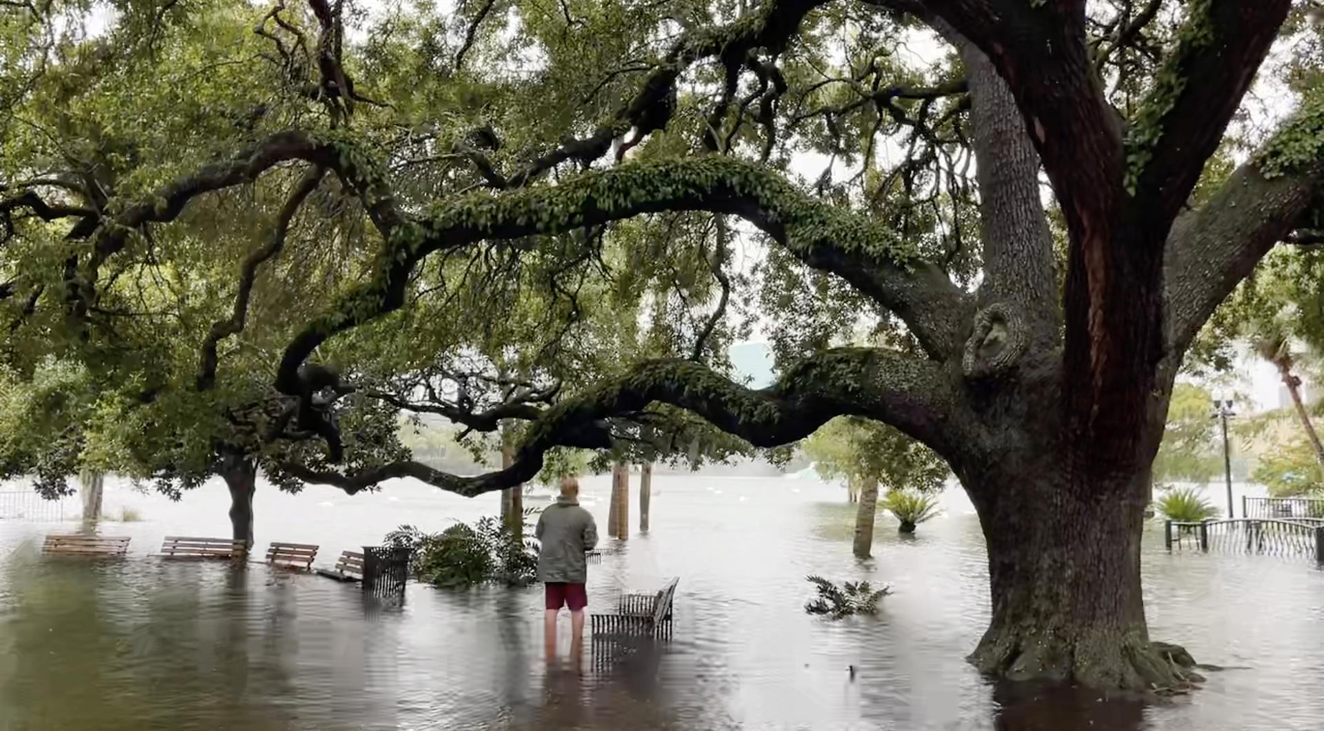 Fotografía de archivo de un hombre que camina cerca de los bancos de un parque cerca del lago Eola en un centro inundado tras el paso del huracán Ian, en Orlando, Florida. EFE/GARY BOGDON

