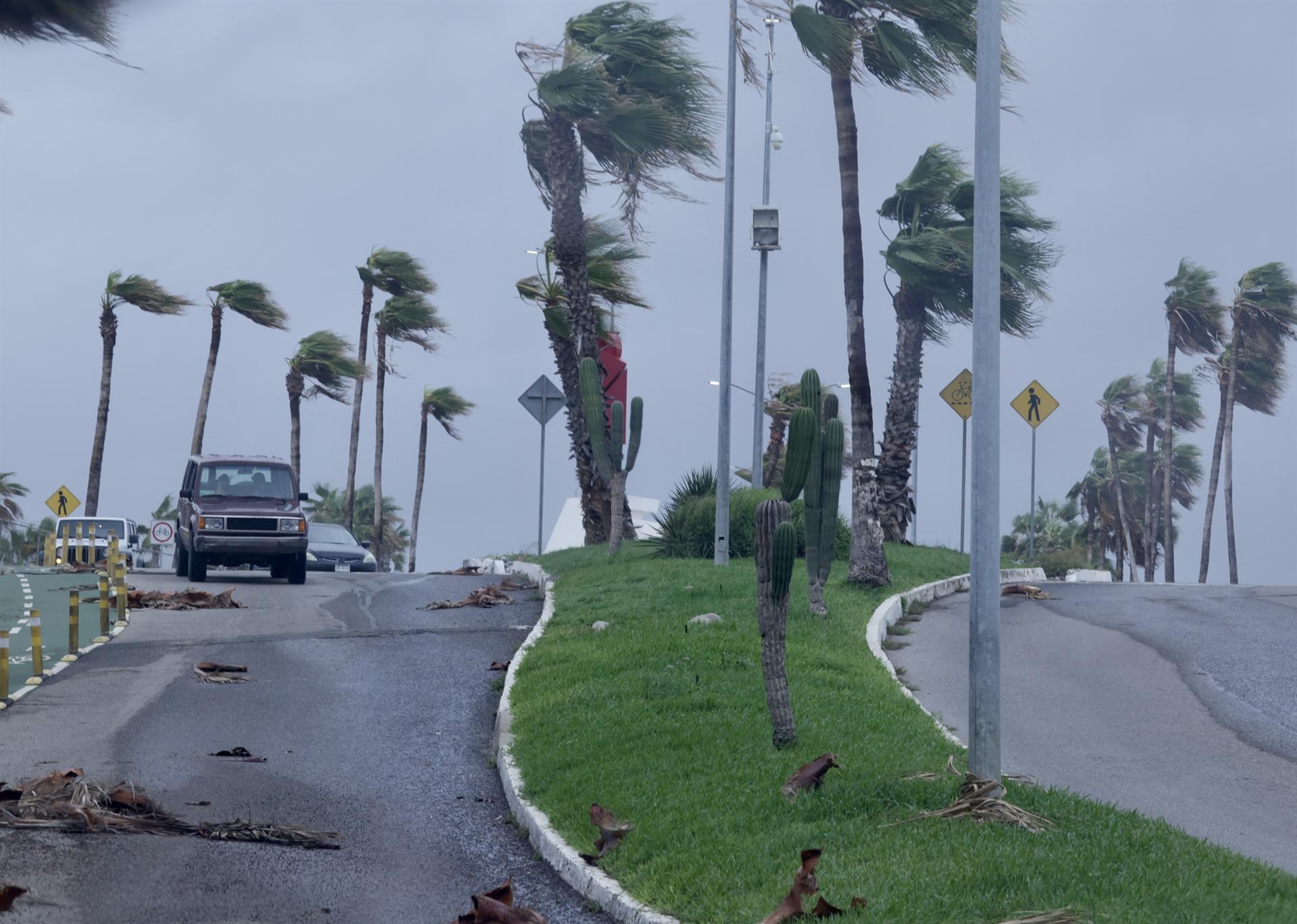 Fotografía de fuertes vientos impactando en unas palmeras debido a la llegada de un huracán, en Los Cabos (México). EFE/ Jorge Reyes
