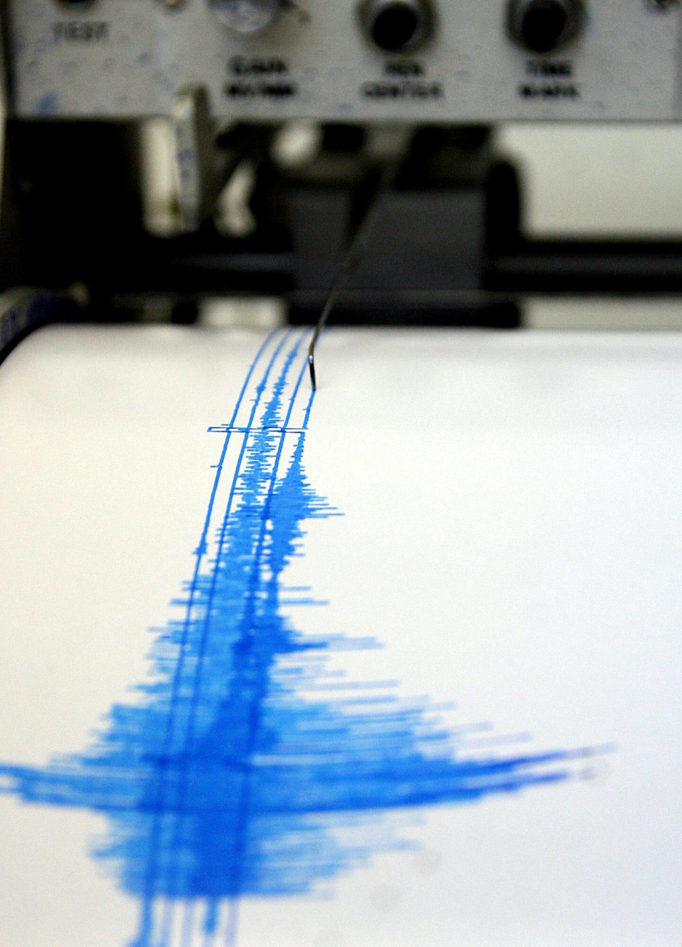 Fotografía de archivo de una lectura del sismógrafo. Imagen de archivo. EFE/Alejandro Zepeda
