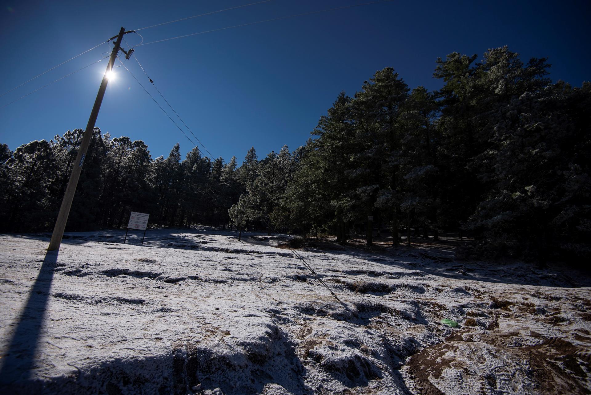 Vista de la nieve en los Oyameles, en la sierra del municipio de Arteaga, estado de Coahuila (México). Imagen de archivo. EFE/Miguel Sierra

