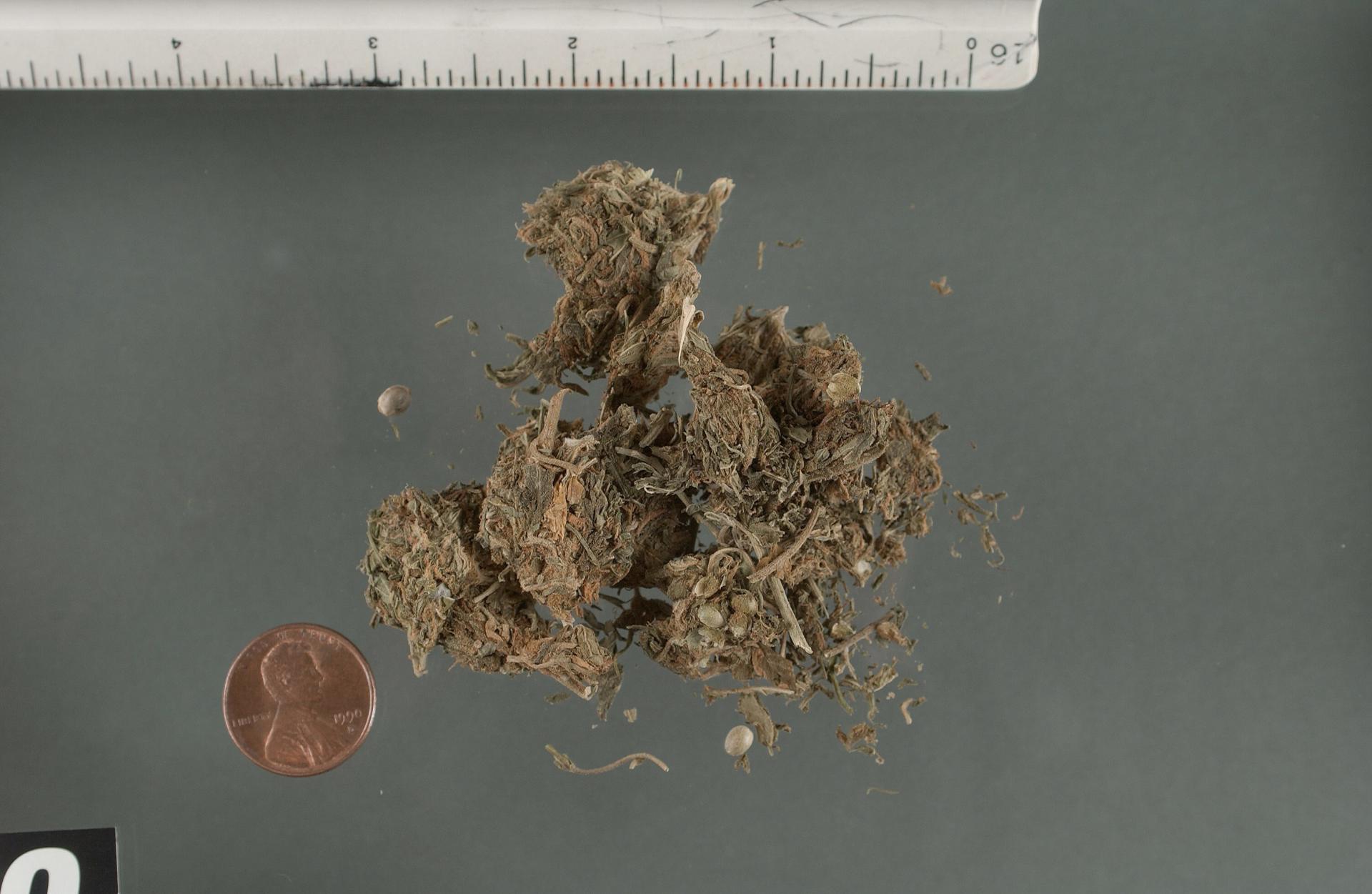 Estudio sobre muertes asociadas a la marihuana rastrea 386 casos en Florida ARCHIVO/EFE/DEA