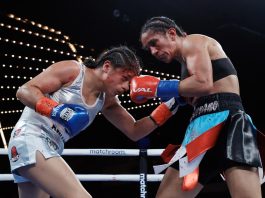 La puertorriqueña Amanda Serrano (d) le propina un puñetazo en el rostro a la mexicana Erika Cruz Hernández (I) durante su combate de boxeo por el Campeonato de Peso Pluma Femenino en The Hulu Theatre en el Madison Square Garden en Nueva York. EFE/EPA/JASON SZENES
