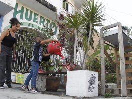 Miriam Torres (i), integrante del colectivo Huerto en el Barrio, observa el cuidado de un huerto urbano el 3 de febrero de 2023, en Guadalajara, Jalisco (México). EFE/ Francisco Guasco

