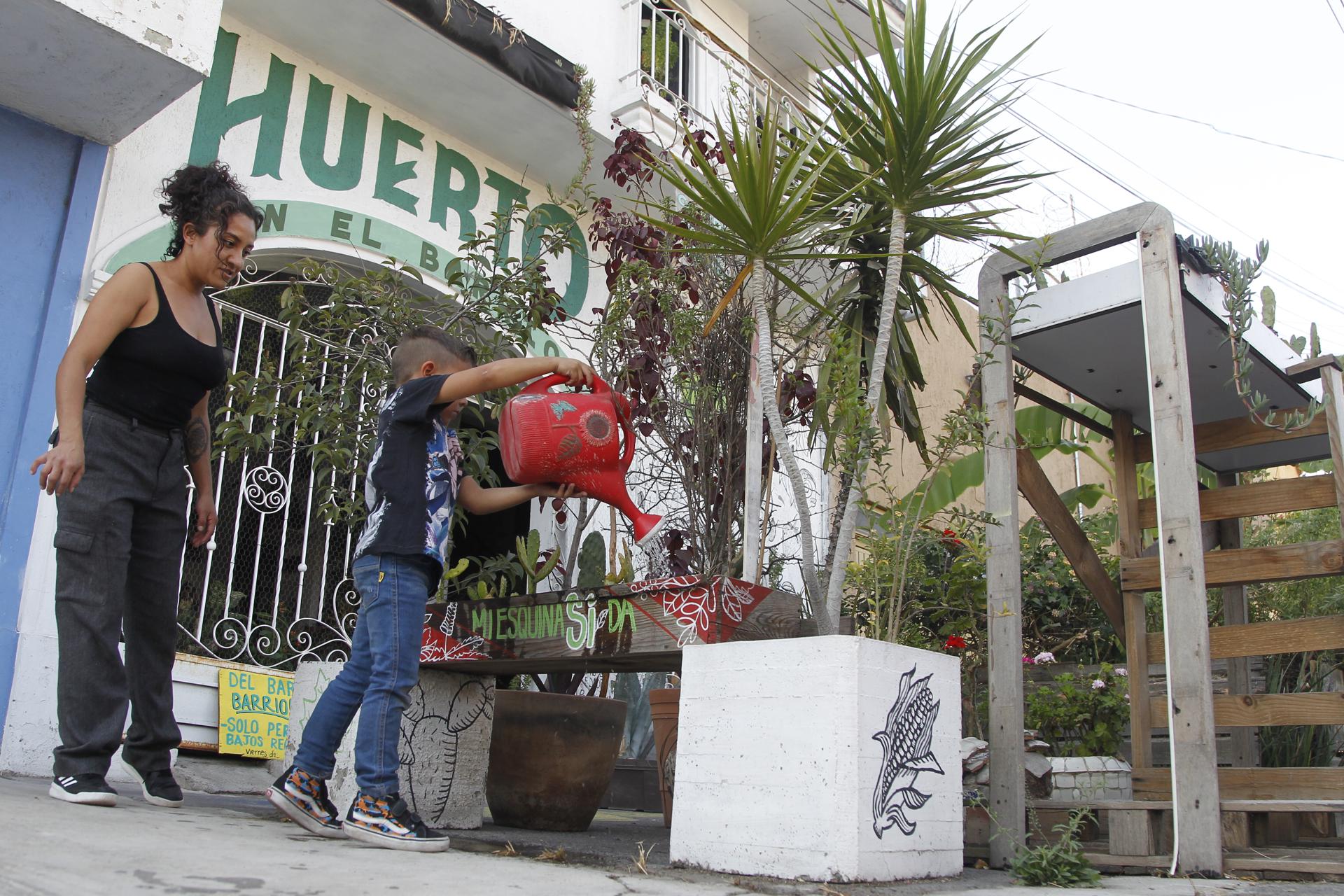 Miriam Torres (i), integrante del colectivo Huerto en el Barrio, observa el cuidado de un huerto urbano el 3 de febrero de 2023, en Guadalajara, Jalisco (México). EFE/ Francisco Guasco
