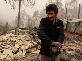 Un hombre se posa sobre escombros y destrozos ocasionados por un incendio hoy, en Santa Juana, Región del Biobío (Chile). EFE/ Esteban Paredes Drake
