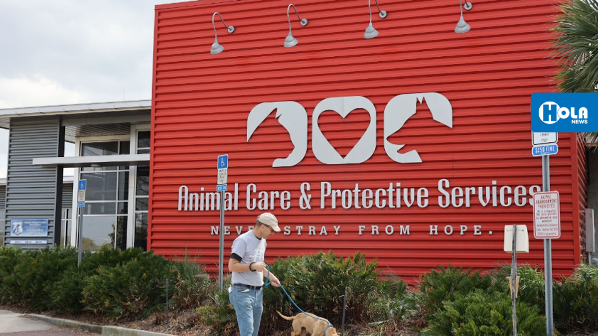 Eventos promueven la adopción de mascotas