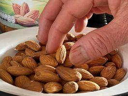 Foto de archivo. Una persona come hoy almendras como parte de su dieta alimenticia, en Ciudad de México (México). EFE/Alex Cruz
