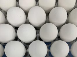 Detalle de varios huevos de gallina. Imagen de archivo EFE/ Alba Santandreau
