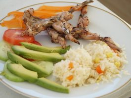 Las ranas experimentan auge gastronómico en sur de México ante la Cuaresma Fotografía de un plato con rana asada, el 10 de marzo de 2023, en el municipio de Santiago Textitlán, Oaxaca (México). EFE/ Daniel Ricardez