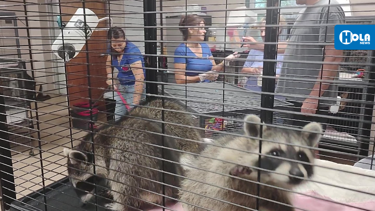 “Rally” para generar conciencia ambiental