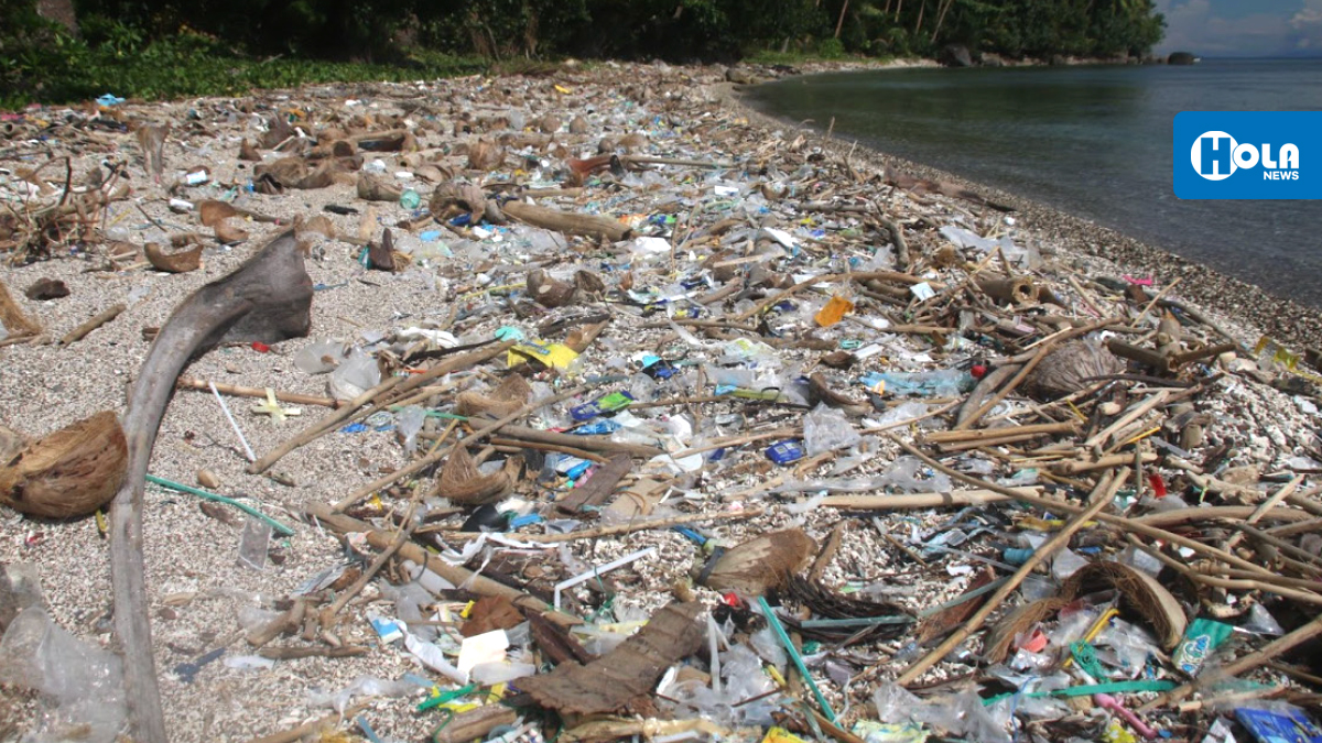 Limpiarán playas el 5 de julio