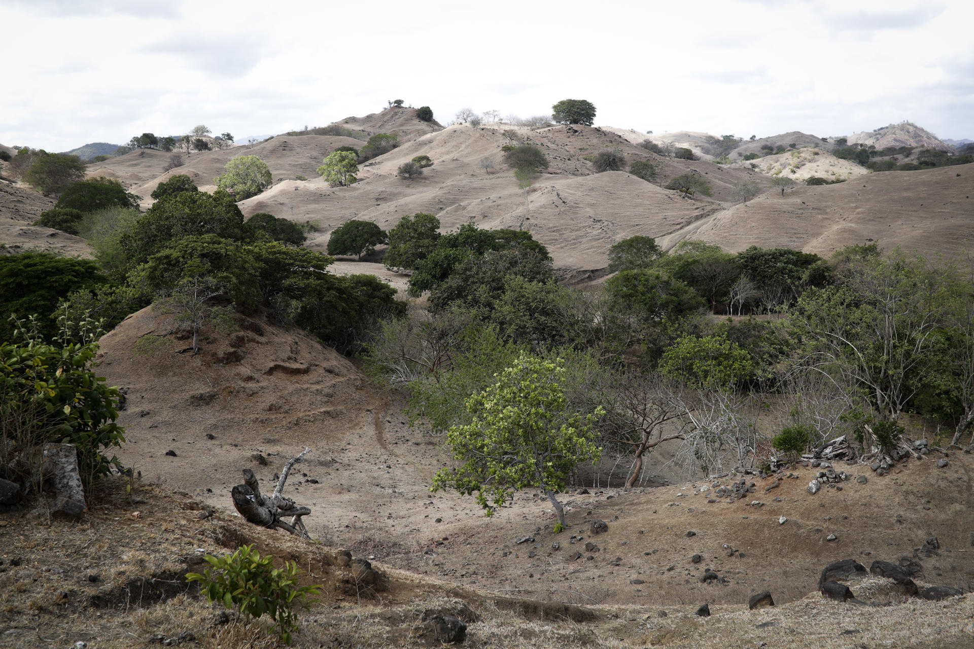 Vistas de las montañas con pasto seco durante la temporada de sequía, en la Península de Azuero (Panamá). Imagen de archivo. EFE/Bienvenido Velasco

