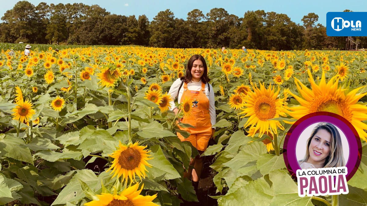 Temporada de Girasoles | La Columna de Paola