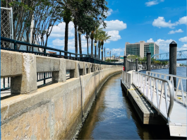 Nuevo presupuesto ayudará a plantar más árboles