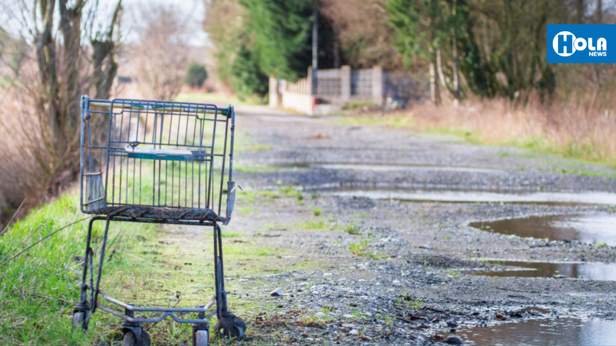 Ordenanza con multas para quienes dejen carritos de compras en la calle