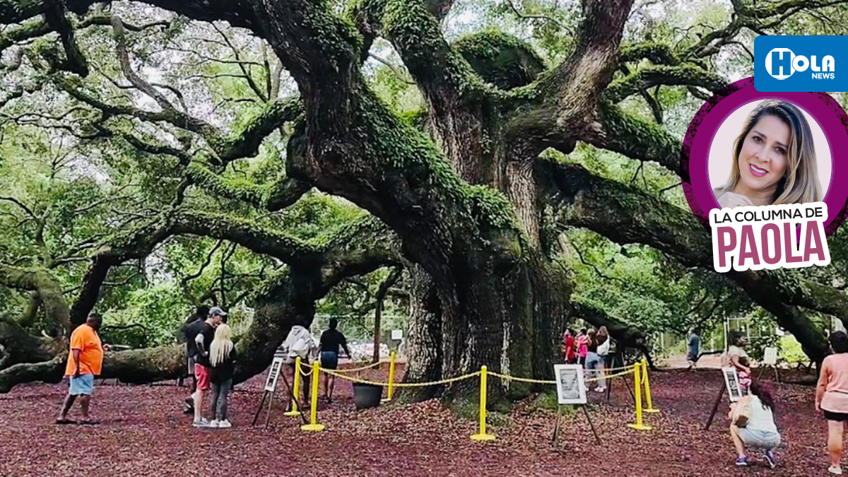 El tesoro del “Low Country” | La Columna de Paola