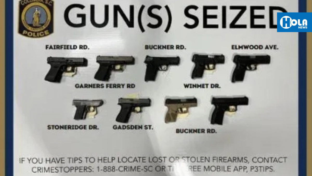 Docenas de armas incautadas en operativos