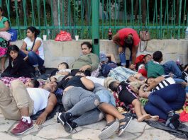 Grupos de migrantes descansan mientras hacen fila para tramitar papeles migratorios en la Comisión Mexicana de Ayuda a Refugiados (Comar) hoy, en Tapachula, Chiapas (México). EFE/Juan Manuel Blanco
