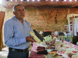 El agroecólogo Ezequiel Cárdenas posa con unas muestras de maíz durante una entrevista con EFE, el 26 de septiembre de 2023, en la localidad de San Juan Evangelista, municipio de Tlajomulco (México). EFE/Francisco Guasco
