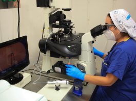 La frontera de México se afianza como destino para estadounidenses que buscan un embarazo La embrióloga Laura García realiza una fecundación de laboratorio el 13 de septiembre de 2023, en Ciudad Juárez, estado de Chihuahua (México). EFE/Luis Torres