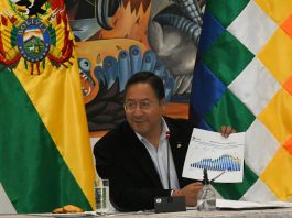Fotografia de archivo del presidente de Bolivia Luis Arce. EFE/STR
