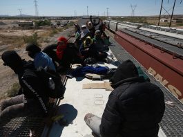 Migrantes viajan sobre el tren conocido como "La Bestia", el 29 de septiembre de 2023, en Ciudad Juárez, Chihuahua (México). EFE/ Luis Torres
