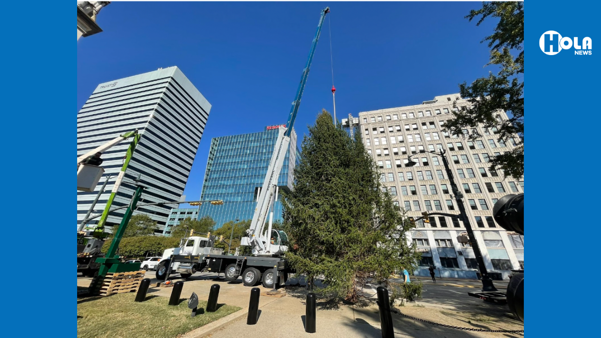El 19 de noviembre se iluminará el Árbol de Navidad