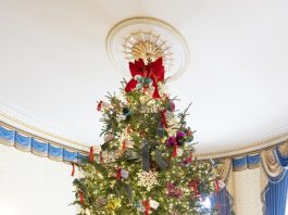 Fotografía del árbol de Navidad oficial de la Casa Blanca, un abeto fraser de 18,5 pies de altura, con una réplica de un tren de pasajeros antiguo en la base, durante una vista previa para los medios de comunicación de la exhibición navideña de la Casa Blanca de 2023, con el tema "Magia, maravilla y alegría" de las fiestas, hoy, en el Salón Azul de la Casa Blanca, en Washington (EE.UU.). EFE/ Michael Reynolds
