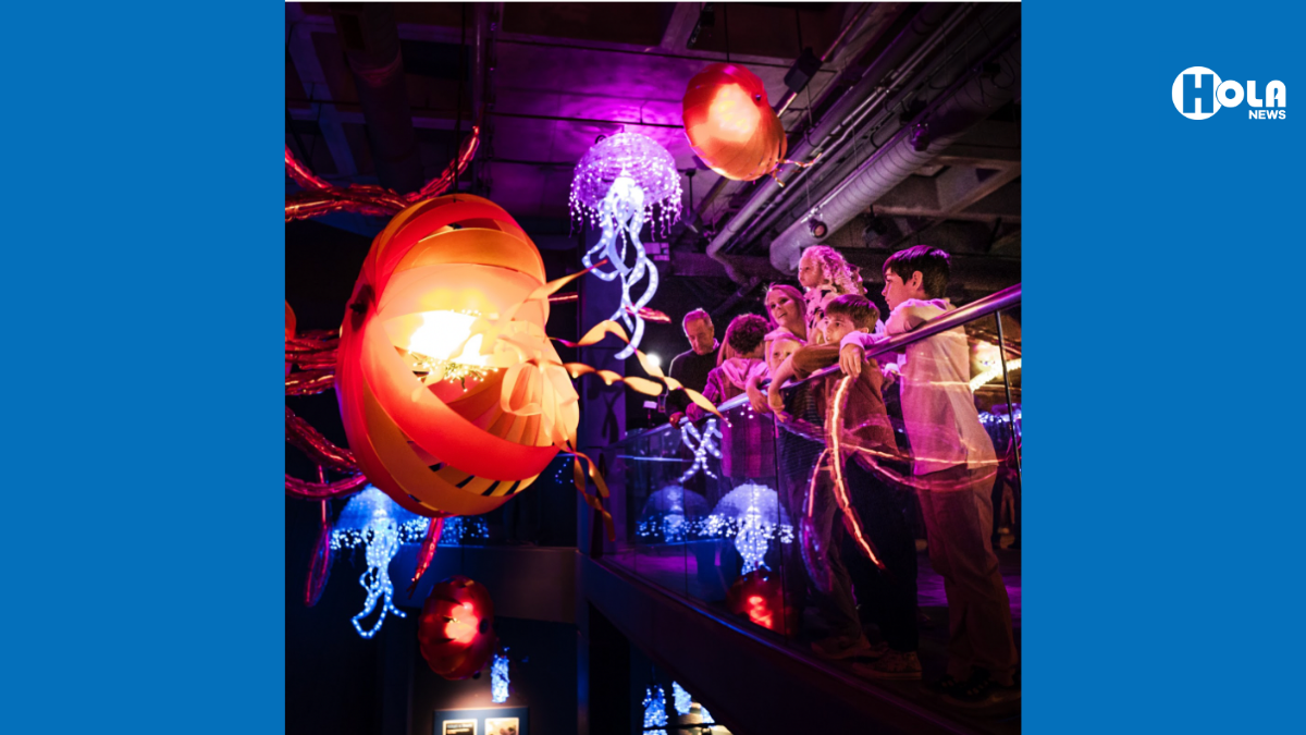 “AGLOW” la celebración navideña en el acuario | La Columna de Paola