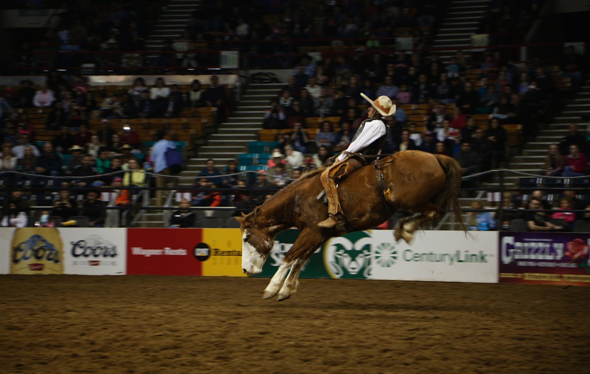 Los Ángeles aprueba una prohibición para los rodeos a pesar de protestas de aficionados Archivo. EFE/Laressa Watlington