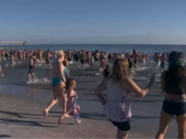 Celebran llegada del nuevo año con ‘zambullida’ polar