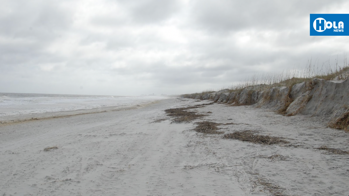 Adjudican contrato de $32,4 millones para renutrición de playas en condado de Duval