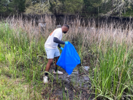 Afluentes del río St. Johns son parte de una campaña de limpieza