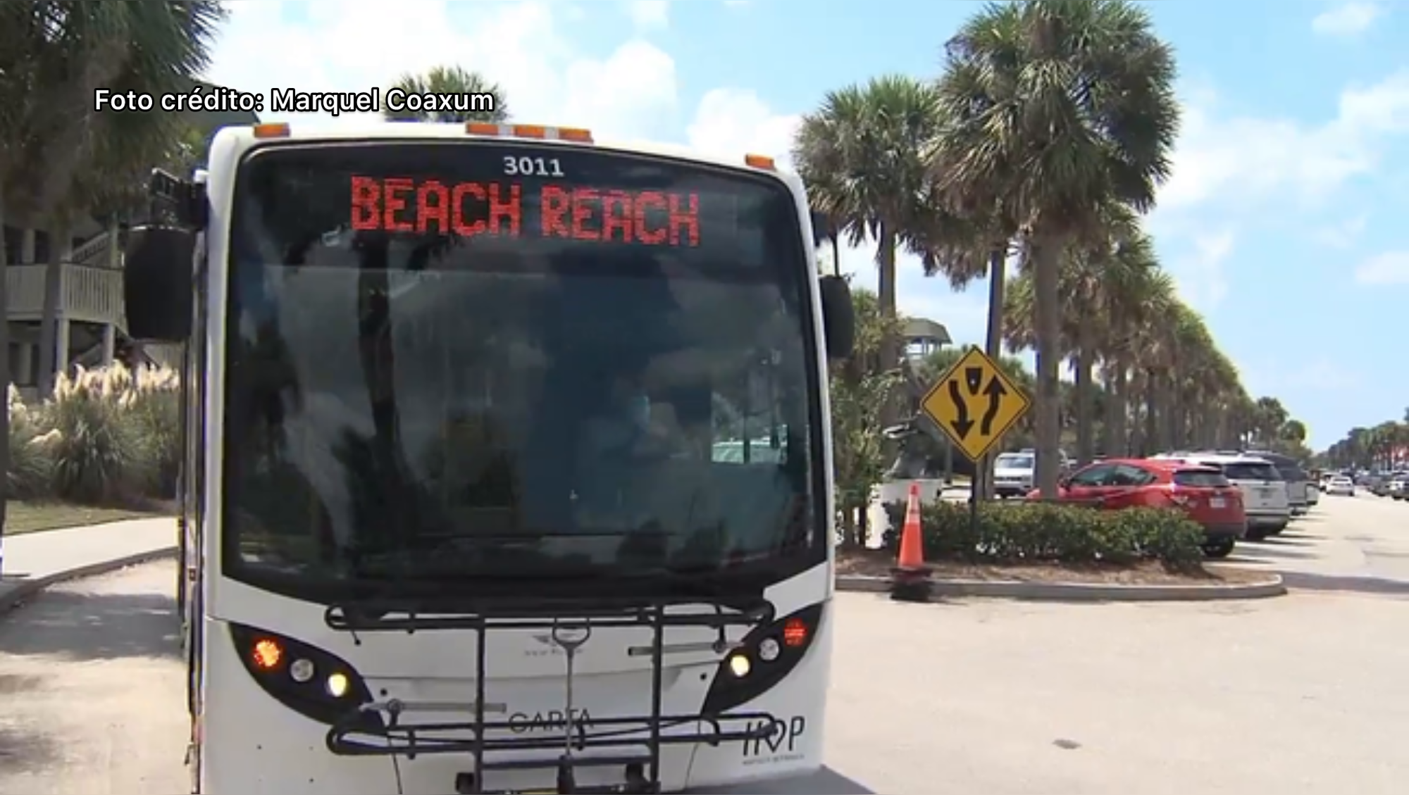CARTA tendrá viaje gratis a la playa