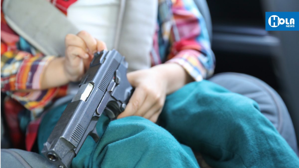 Legisladores impulsan proyecto de ley sobre almacenamiento de armas