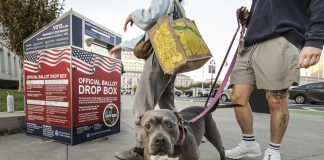 Alertan a dueños de mascotas en EE.UU. y Canadá por comida contaminada con gripe aviar Archivo. EFE/EPA/JOHN G MABANGLO