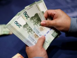 Peso mexicano gana terreno frente al dólar estadounidense tras investidura de Trump Imagen de archivo de una persona que cuenta billetes de 200 pesos en Ciudad de México (México). EFE/ José Méndez