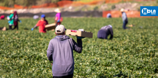 A punto de crearse un Comité Asesor Agrícola