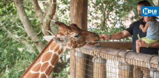 Zoológico de Jacksonville fue elegido el cuarto mejor del país
