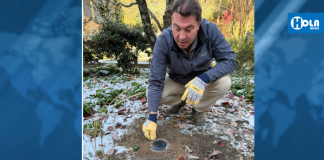 El control de plagas debe tener inspección rigurosa