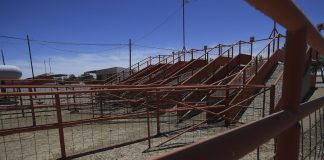 Exportaciones mexicanas de carne de res bajan un 2 % en una semana tras veto de EE.UU. Fotografía de los corrales de ganado para exportación, los cuales se encuentran vacíos por el cierre de la frontera, este lunes en Ciudad Juárez, en el estado de Chihuahua (México). EFE/ Luis Torres