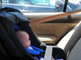 Fiscal lanza advertencia sobre peligro de dejar niños o mascotas en autos