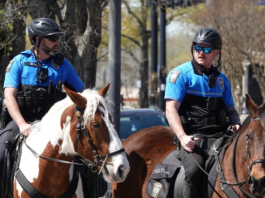Presupuesto restituye fondos para la Unidad Montada de la Policía