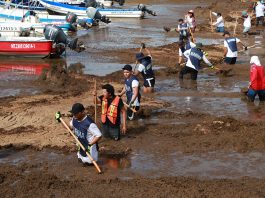 El sargazo vuelve a amenazar la temporada turística en el Caribe mexicano Autoridades y voluntarios participan en la recolección de sargazo este martes, en Playa del Carmen, en el estado de Quintana Roo (México). EFE/ Lourdes Cruz